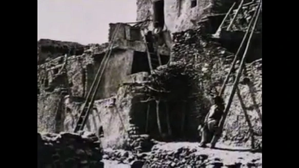 237D0F35577F22F409A1F3