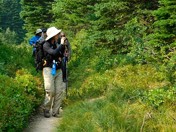 99BD5A505B87518B132E01