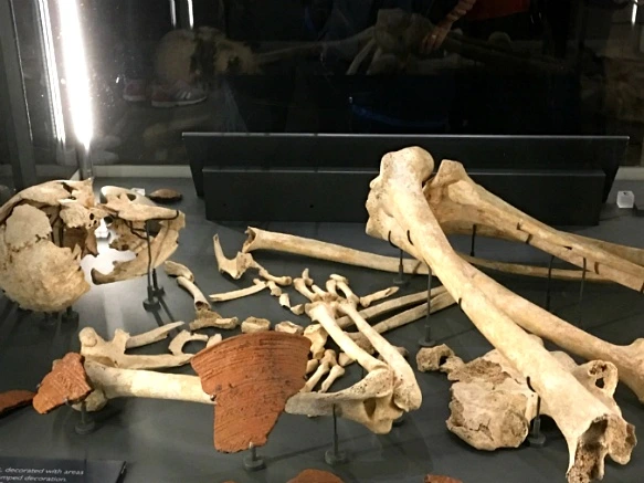 990DC63359D8A54426F48A