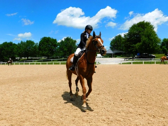 240CE433597D172E278E4C