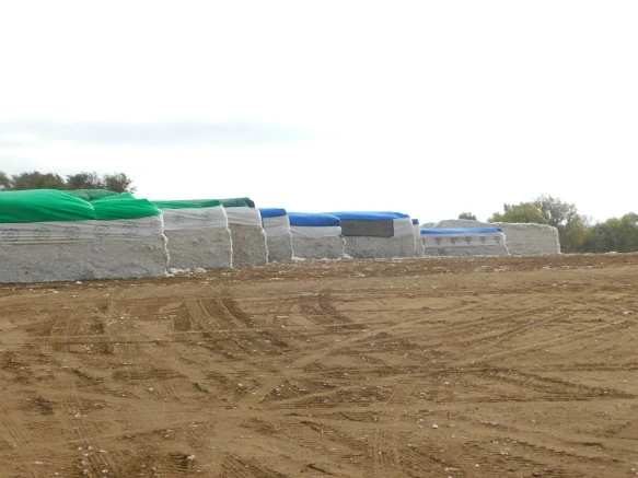 99B6B7335A07C8411B7B7C