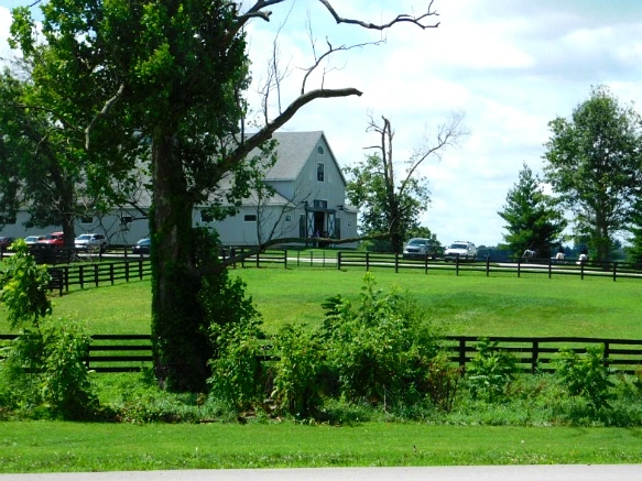 2614C333597D17062FE2F5