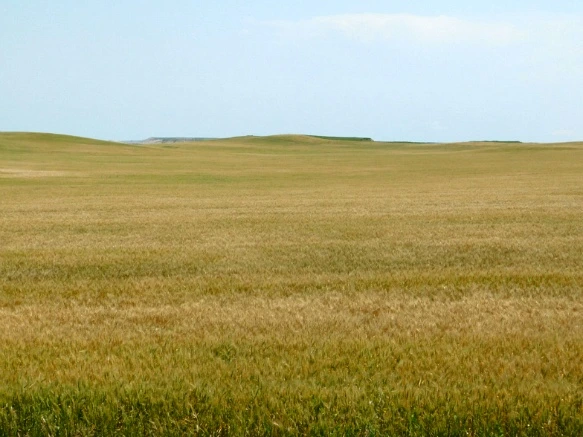 99D3864E5B4806BB1D286B