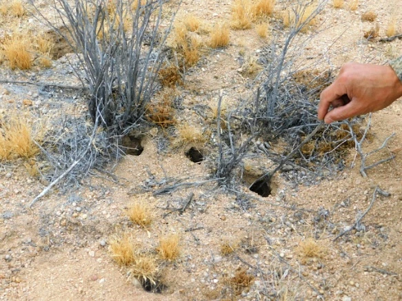 25436A5057782A7C293C92