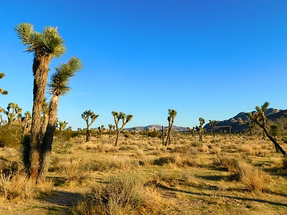 99EB684C5BE11AEE108B76