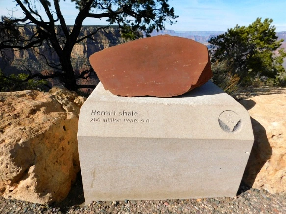 992666335A1F61E03AA829