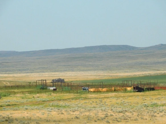 9927EE445B77A1D40F8C7C