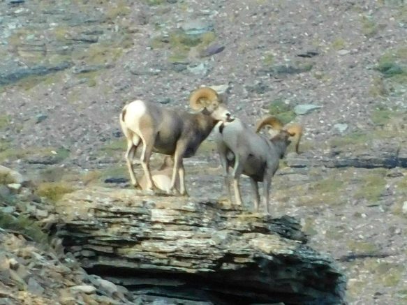 99DA7E3359A104FE230B07