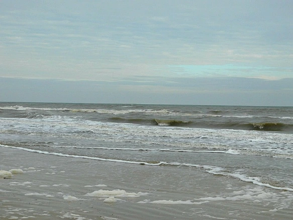 9929AB365BF76E1A209DD6