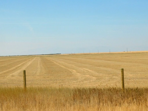 99EBB933599F9D6A1B3F43