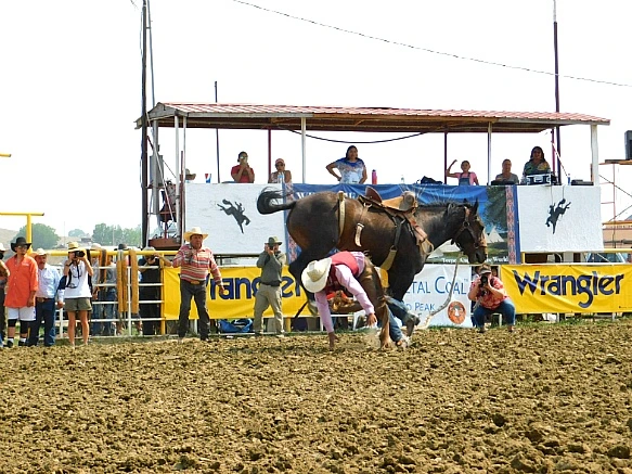 995B51355B7D959E282FC5