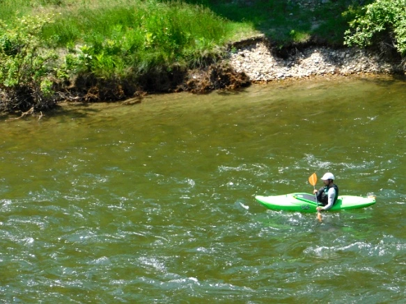 996BD8365B2F292234D9E6