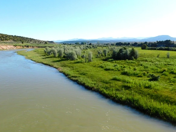 261A84395769D7121C57BF