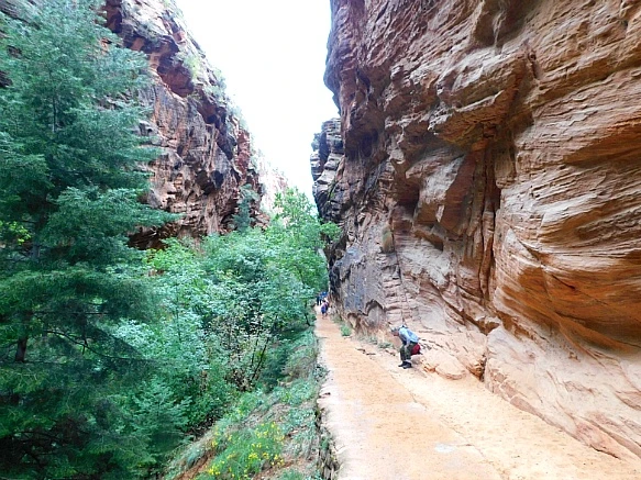 99C90A4B5BC6957C0B581C