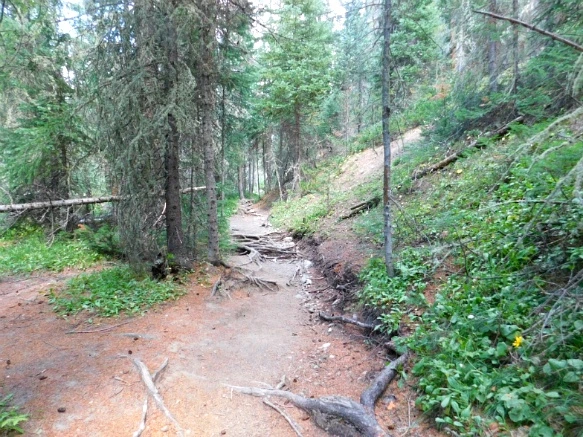 99AA1A495B6E69B414F602