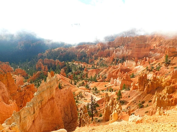 99426B505BC56C690E5FF4