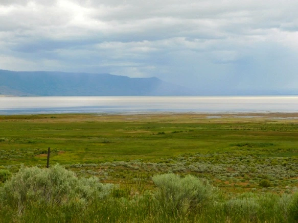 99F76B485B2DDE20190AFD