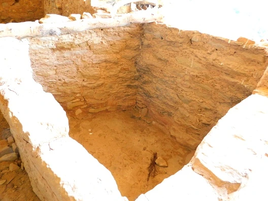 253F7046576226E92996BA