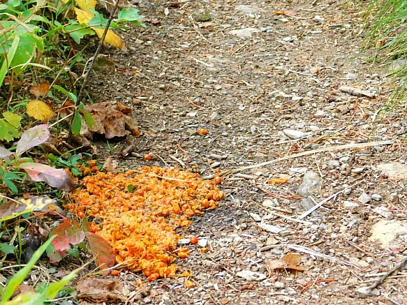 997AB3455BAB05B3241449