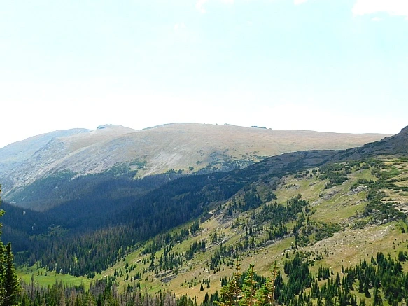 99E5E94D5B74CDC42C05A8