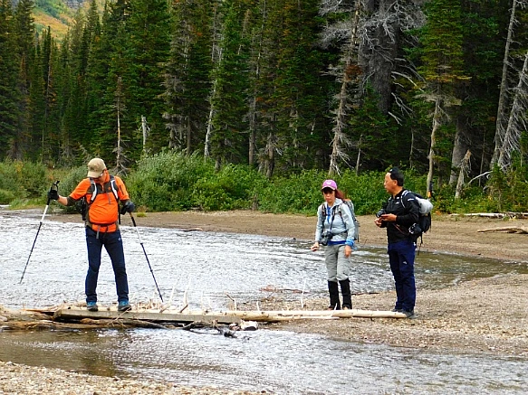 99CC07445BA1B280049736