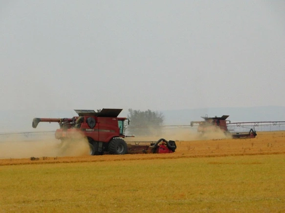 994B6033599E4F2F06D061