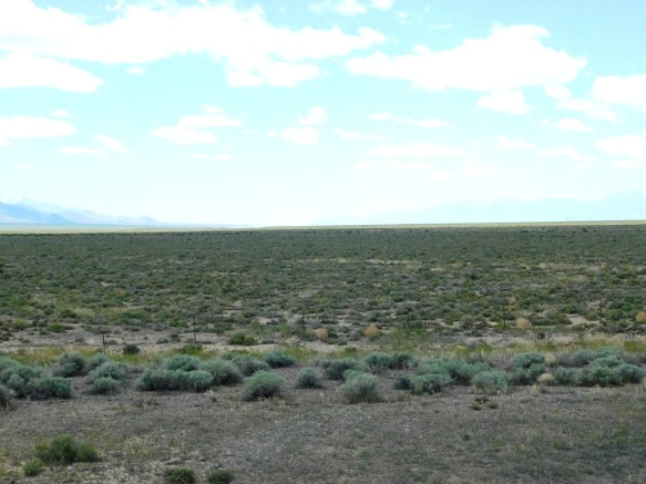 226B414059334DC3097DED