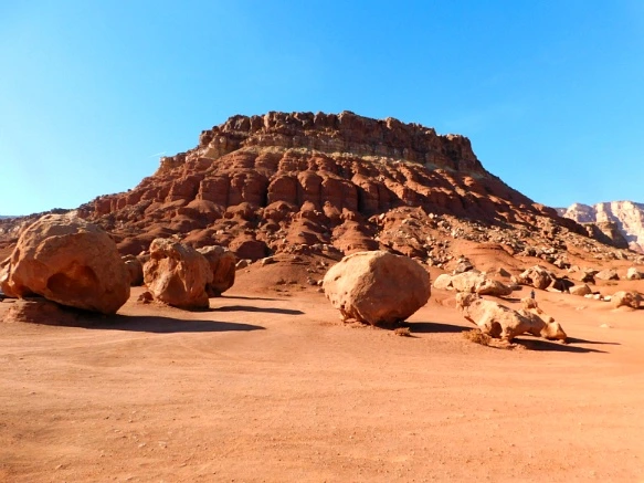 99E2EF335A1E25441D7840