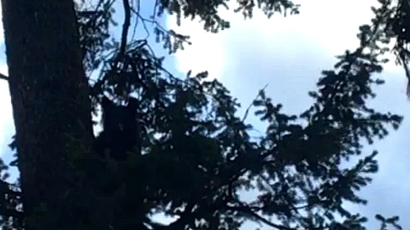 994554465BAB0770357A42