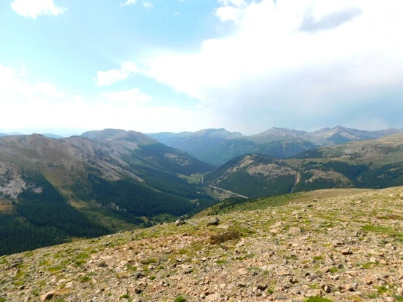 990F064A5B6BA334252894