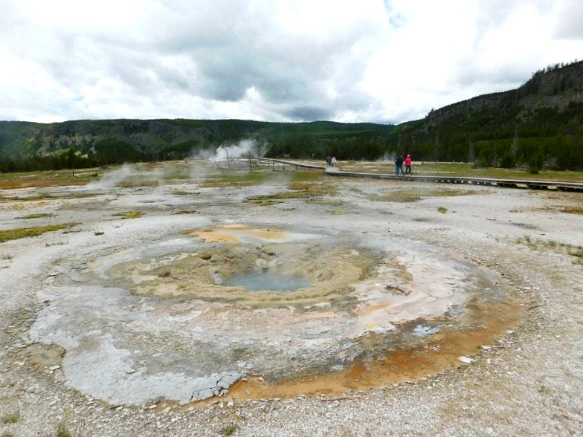 990F0A425B39A61630CA59