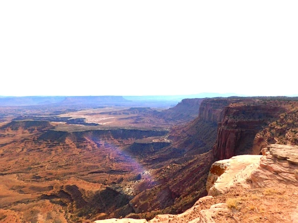 99C4A7335A0E55EF2D943E