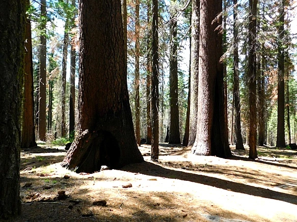 2735B83C57736C322A9689