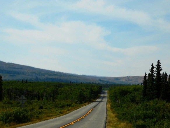 99C1073359A0FBAD224CF5