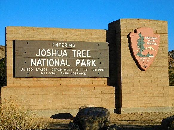 9902A5455BE11ADA0B1744