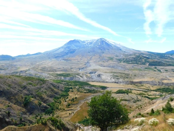 99A1FC3359A4AE183F5E06