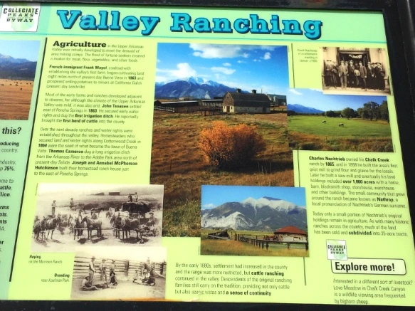 216AAF3456FC487A3AA59E