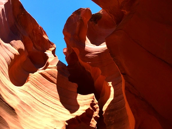 23178F3D576A003A3B9004