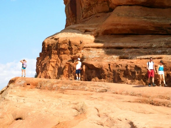 9954243359B31A61132FE6