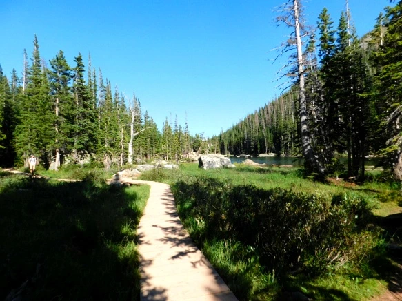 995BB54D5B7266FC27ADF8