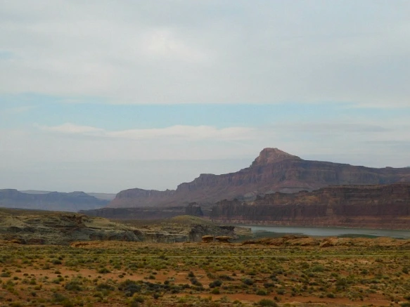 99CB533359B5E7091BA491