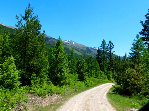 99B2B5485B39A56B27293C