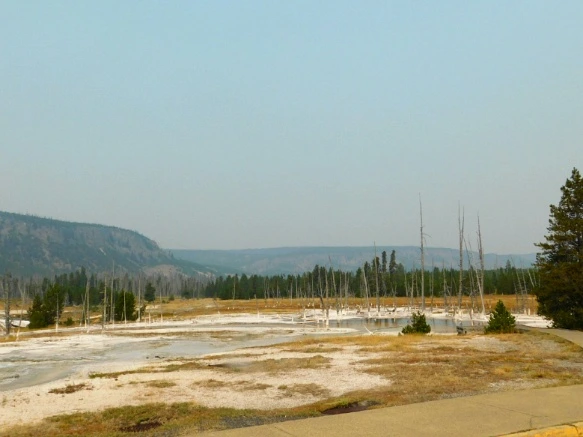 9942A73359AF0E1728132B