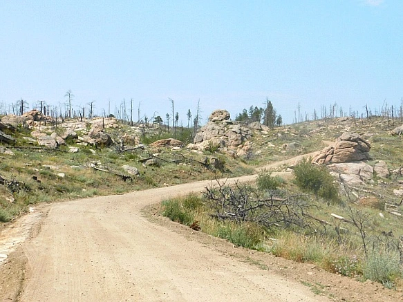 99749A4F5B7653AD2E4E62