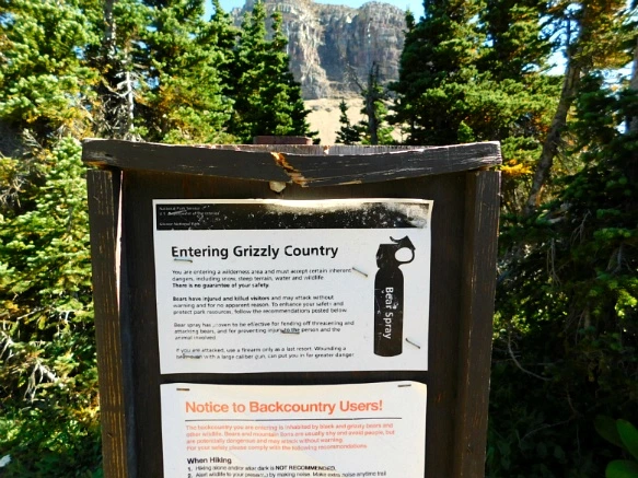 99C9873359A246A92817CE