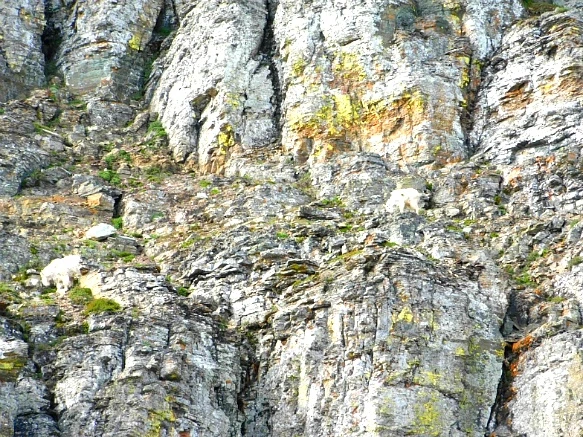 9993524F5B35778D0F2622