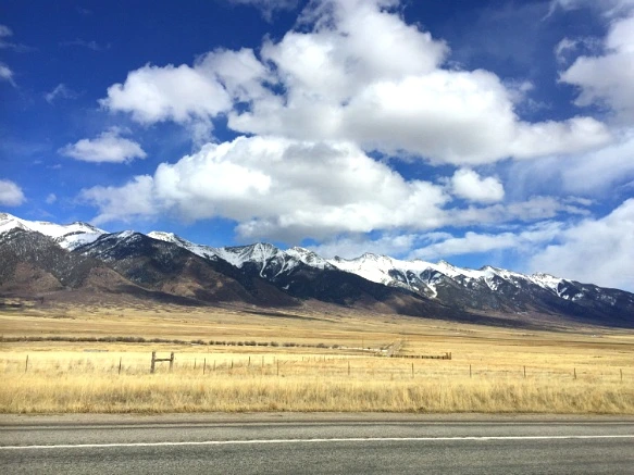 25561B3B56FC48BA2F3F36