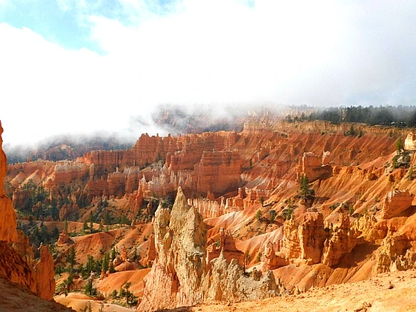 99AE54505BC56C61012744