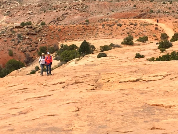 9917A1335A1111F90C87B5