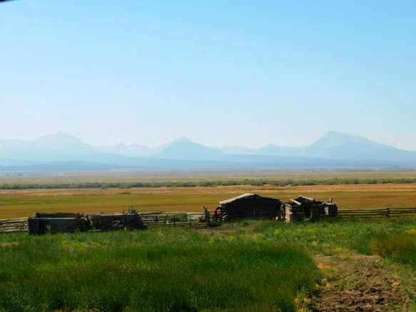 99318F3359AB2BD515A007